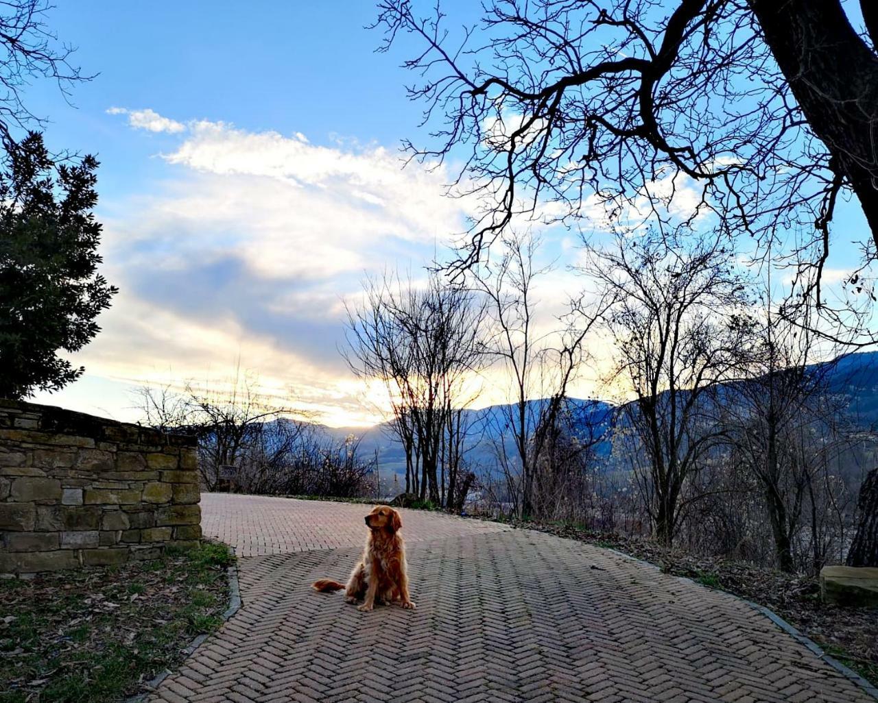 Agriturismo Il Salice Tizzano Val Parma Екстер'єр фото